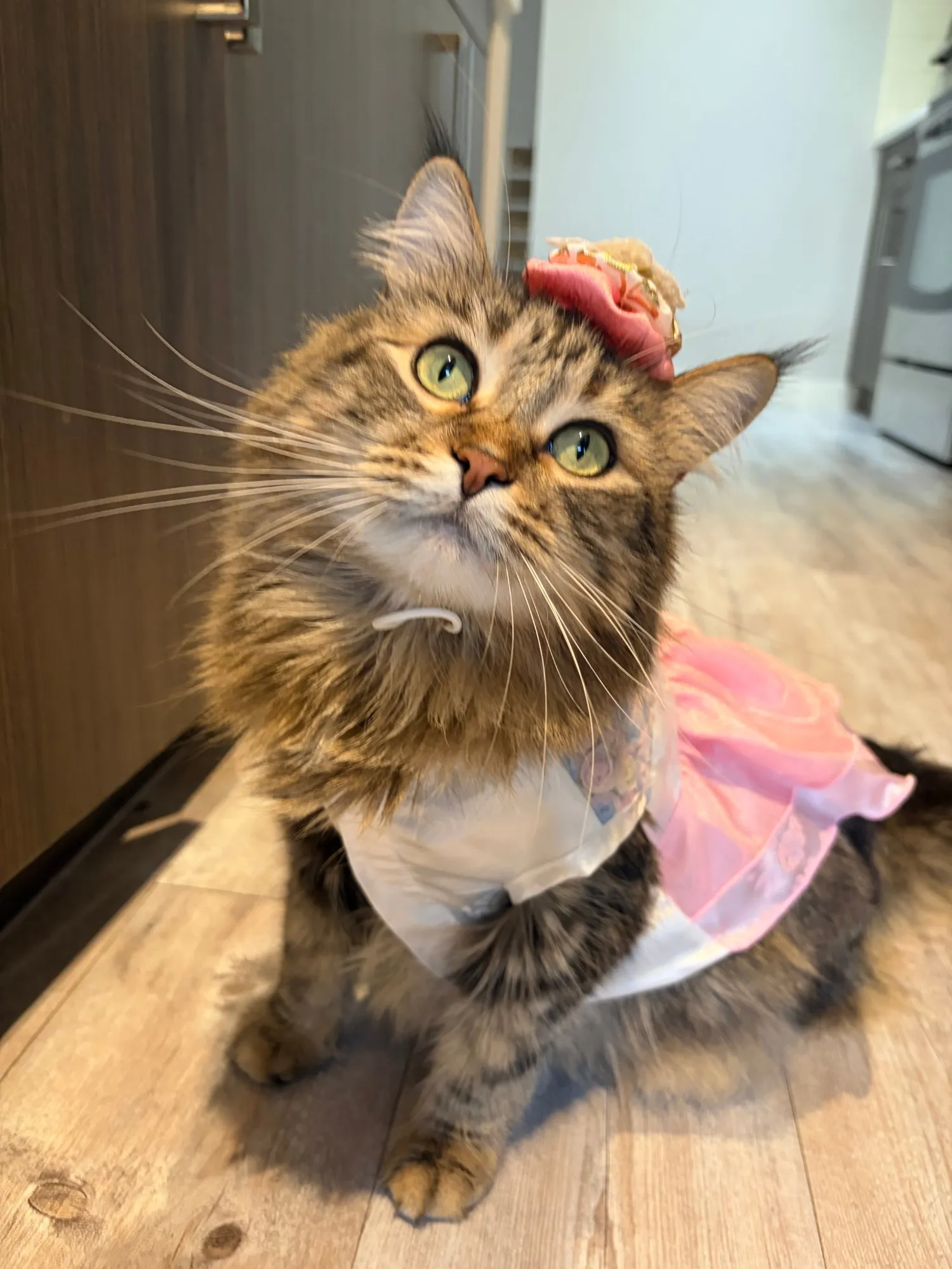 Lia in a pink hanbok with a flower pin